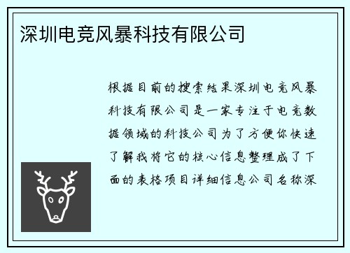 深圳电竞风暴科技有限公司