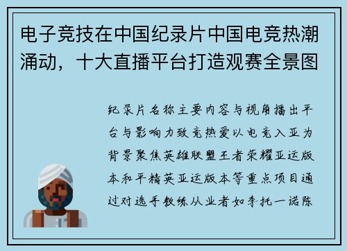 电子竞技在中国纪录片中国电竞热潮涌动，十大直播平台打造观赛全景图